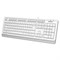 Клавиатура A4Tech Fstyler FKS10 белый/серый USB - фото 51423189 Клавиатура A4Tech Fstyler FKS10 белый/серый USB - фото 51423189