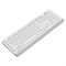 Клавиатура A4Tech Fstyler FKS10 белый/серый USB - фото 51423190 Клавиатура A4Tech Fstyler FKS10 белый/серый USB - фото 51423190