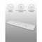 Клавиатура A4Tech Fstyler FX50 белый USB slim Multimedia (FX50 WHITE) - фото 51423214 Клавиатура A4Tech Fstyler FX50 белый USB slim Multimedia (FX50 WHITE) - фото 51423214