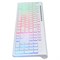 Клавиатура Оклик 490ML белый USB slim Multimedia LED - фото 51423505 Клавиатура Оклик 490ML белый USB slim Multimedia LED - фото 51423505